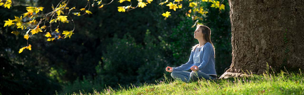 Farm Holidays for Yoga holidays