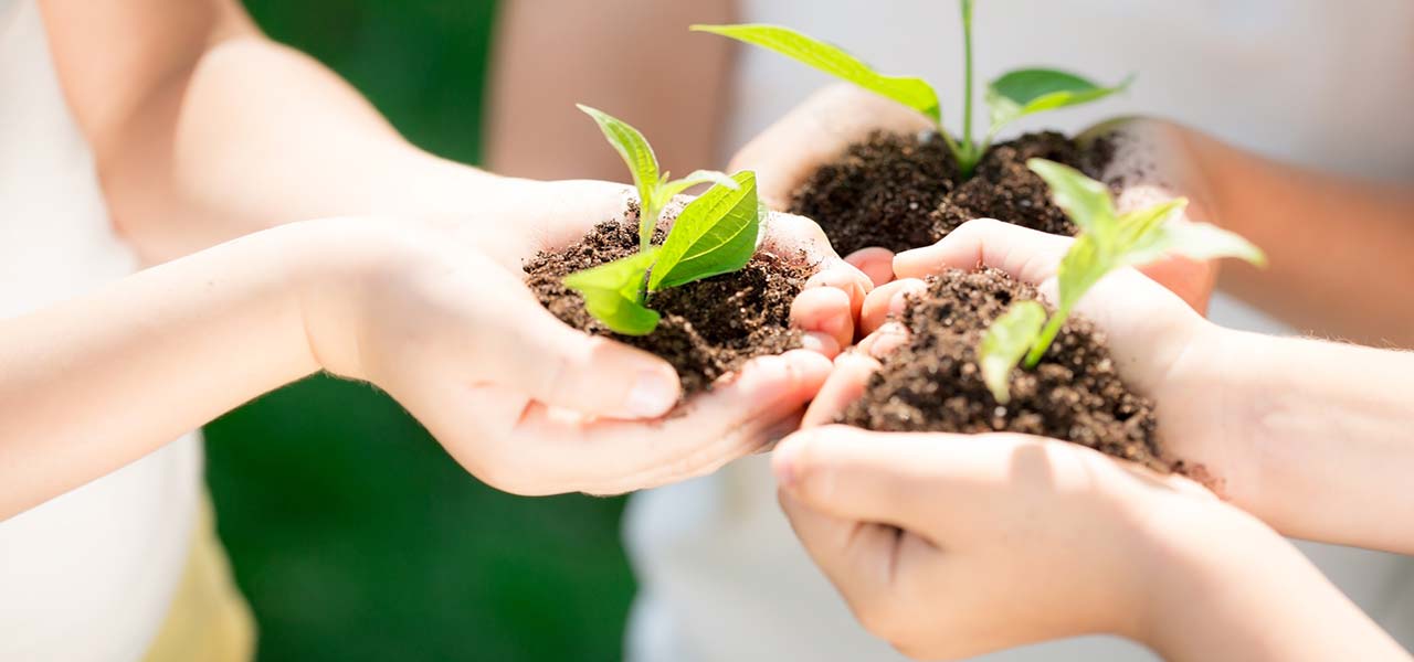 Organic farms in Tuscany