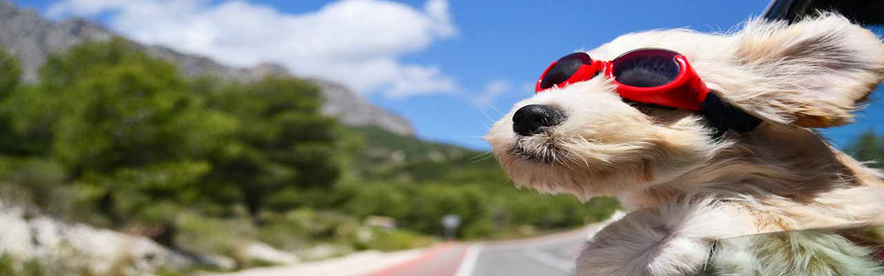 Pet-friendly Agriturismo in Lombardia