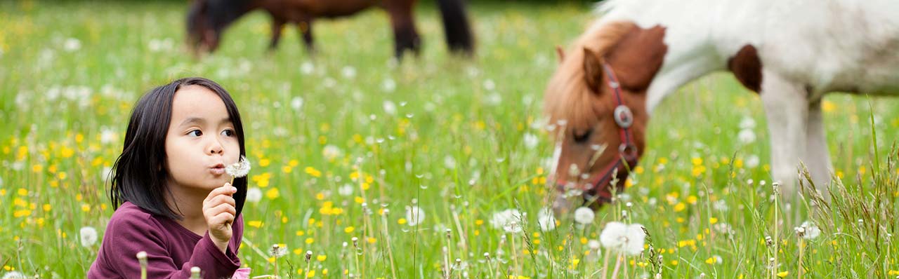 Agriturismo in Lombardy with Educational Farm