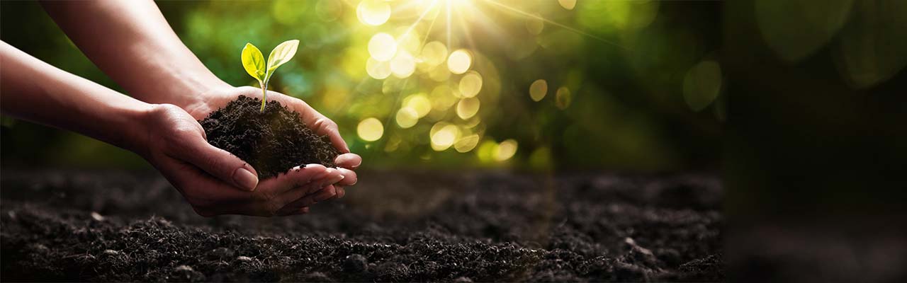 Holiday in sustainable Farmhouse