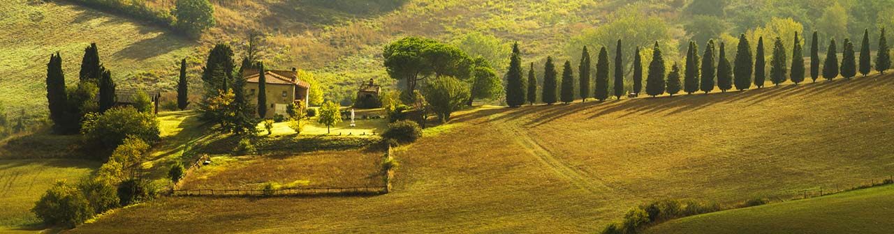 Holiday in Farmhouse