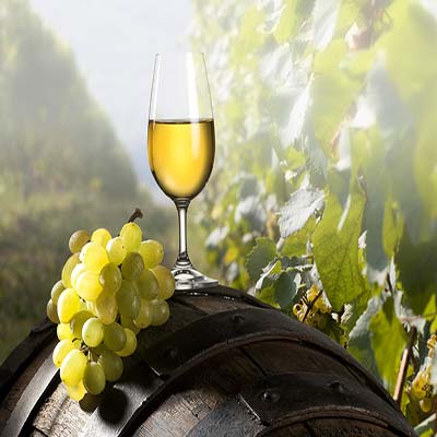 Farmhouse and good cuisine: taste all typical products!