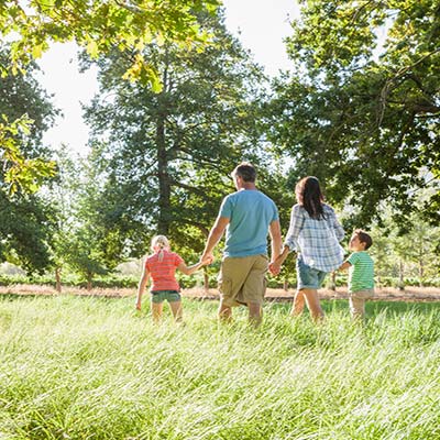 Holidays in Italy in a Family Farm