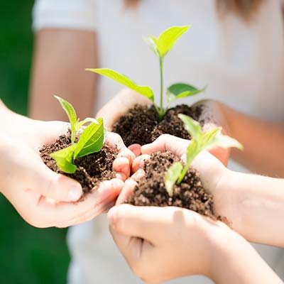Organic Farmhouses in Tuscany: Eco-Sustainability, Certifications, and How to Choose