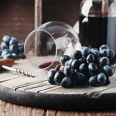 Holidays with wine tasting in Langhe