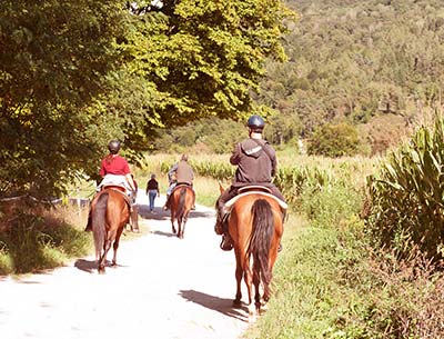 Riding holidays in Farmhouse: the Ippovie in Tuscany