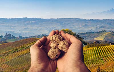 Truffle tasting: holiday in Farmhouse to enjoy the flavour of local products