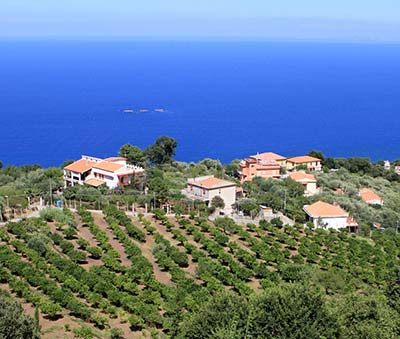 Stay in holiday house, B&B, Villa and Farmhouse close to the seaside