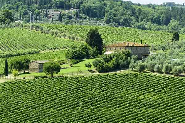 Chianti Classico